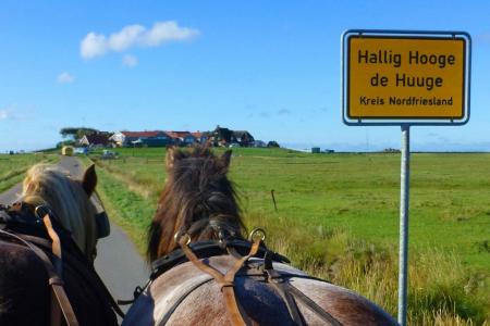 Radtour in Nordfriesland - Hallig Hooge